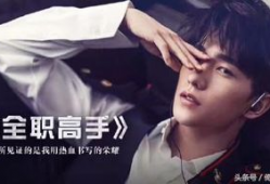 全职高手电视剧演员表,实力派明星齐聚演绎电竞传奇