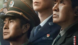 关于刑警的电视剧,破案风云录